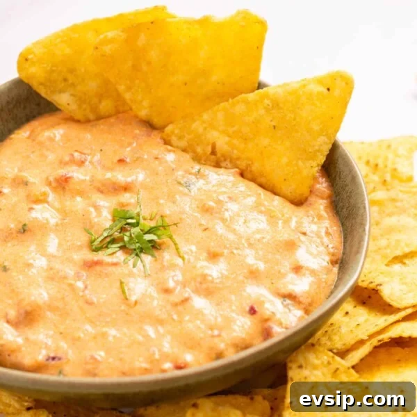 An image of queso in a bowl with nacho chips on the side.