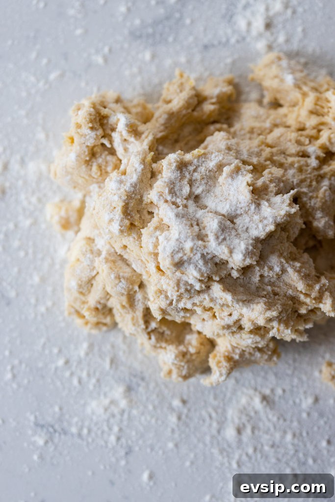 sugar cookie dough