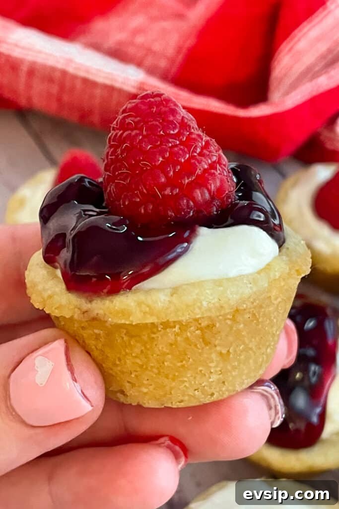 Mini Cheesecake Bites Recipe: Bite-Sized No-Bake Treats 2 mini cheesecake bites being held in a hand for a close up picture