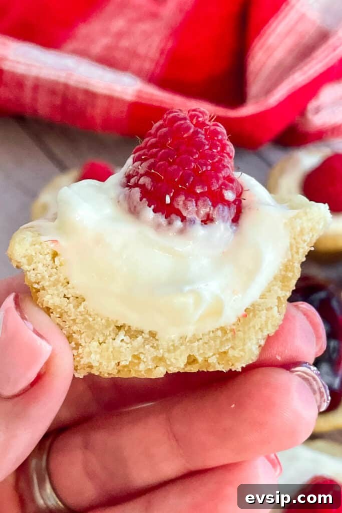 Mini Cheesecake Bites Recipe: Bite-Sized No-Bake Treats 3 close up photo of a mini cheesecake bite that has been cut in half to show the inside