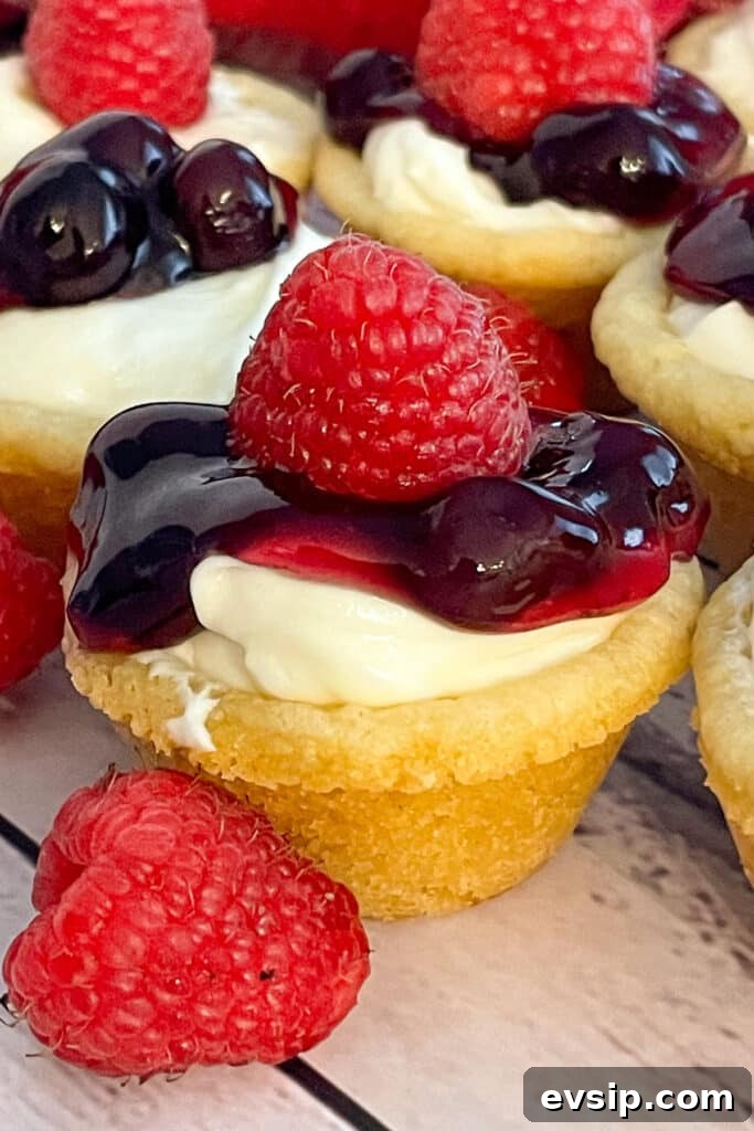 Mini Cheesecake Bites Recipe: Bite-Sized No-Bake Treats 4 mini cheesecake bite on a serving plate with fresh raspberries in the photos