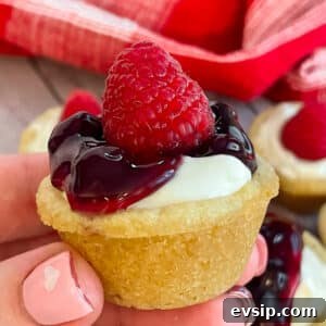 Mini Cheesecake Bites Recipe: Bite-Sized No-Bake Treats 5 mini cheesecake bites being held in a hand for a close up picture