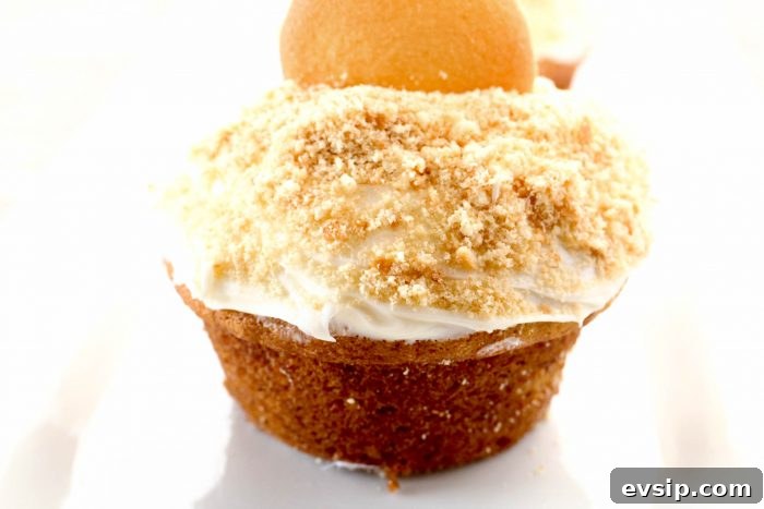 a closeup of a banana cupcake topped with vanilla icing and vanilla wafer cookie crumbs.
