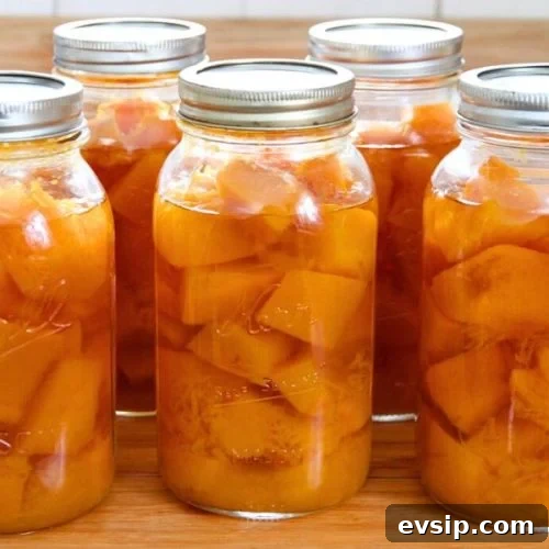 Jars of home-canned pumpkin sitting on a wooden kitchen counter.