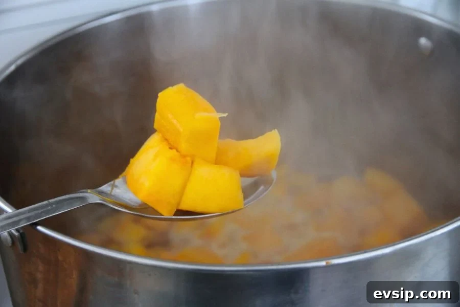 Pumpkin chunks being heated in boiling water before ladling into canning jars.