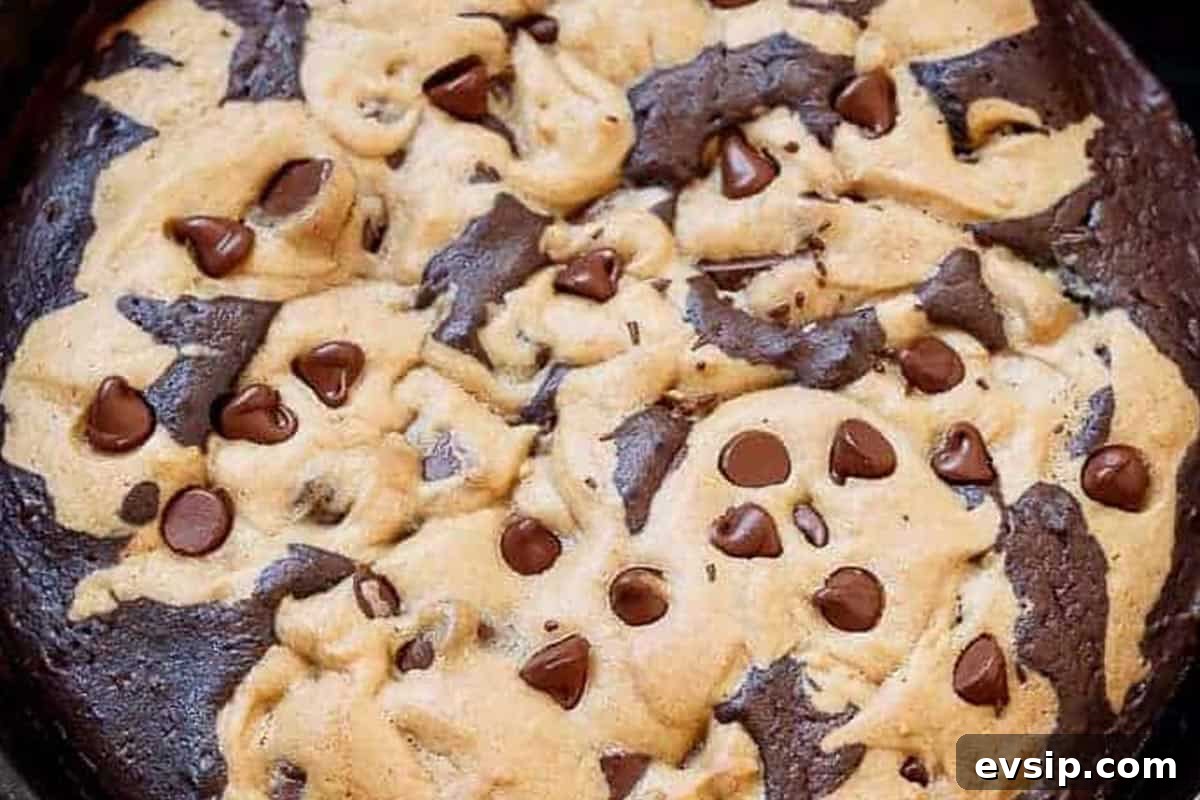 Chewy Chocolate Chip Brookie Recipe: Brownie-Cookie Mashup 11 Close-up shot of Chocolate Chip Brookie.
