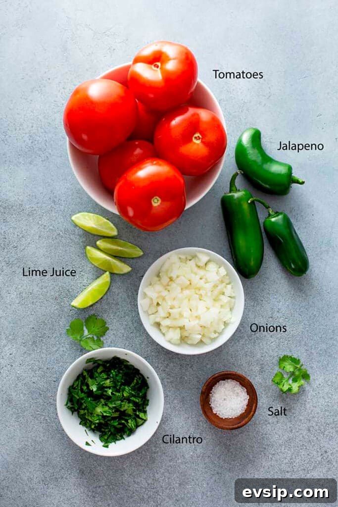 Homemade Mexican Salsa ingredients