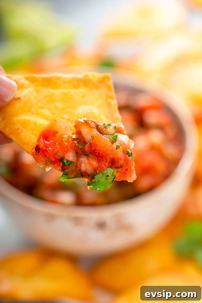 close up view of a homemade tortilla chip with mexican salsa