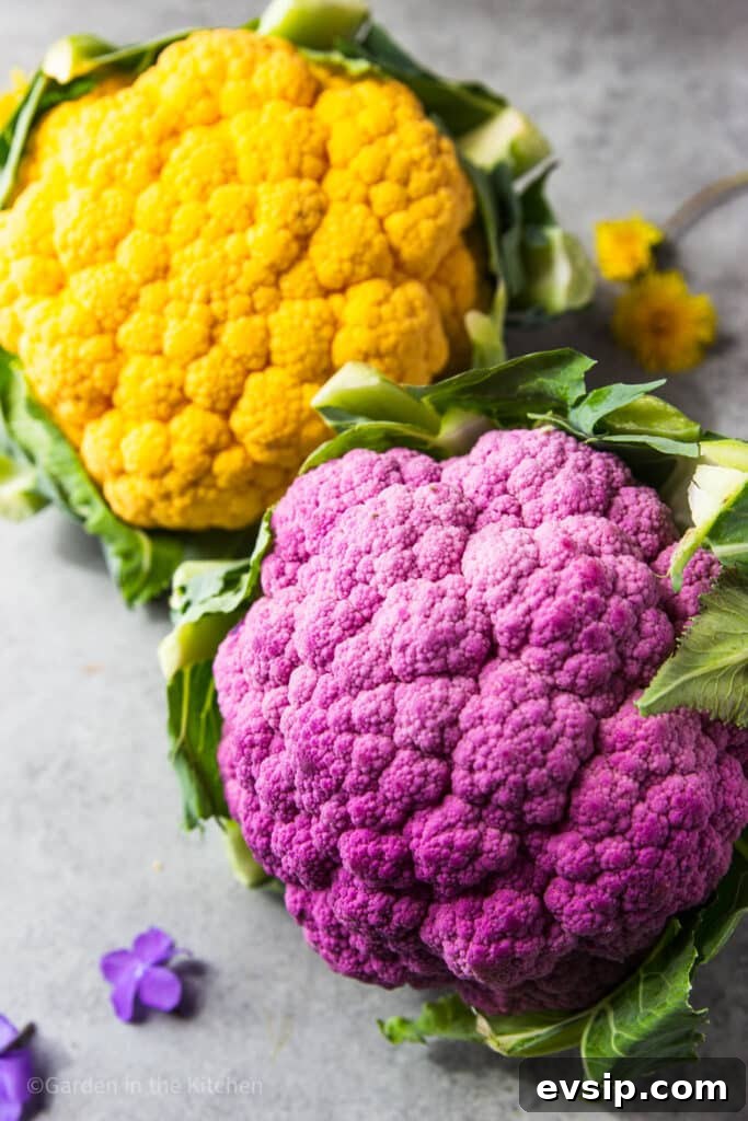 A purple and orange cauliflower head.