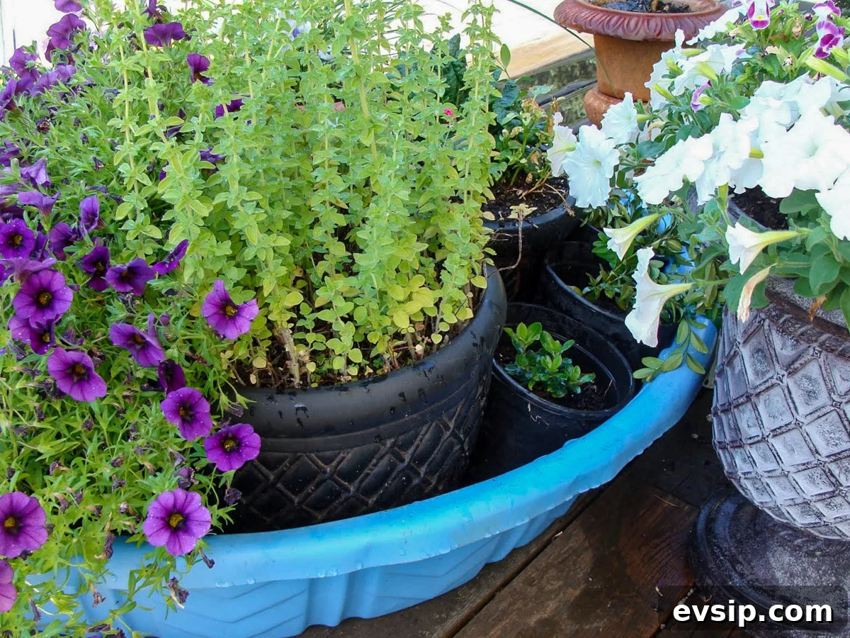 planted containers in kiddie pool up close