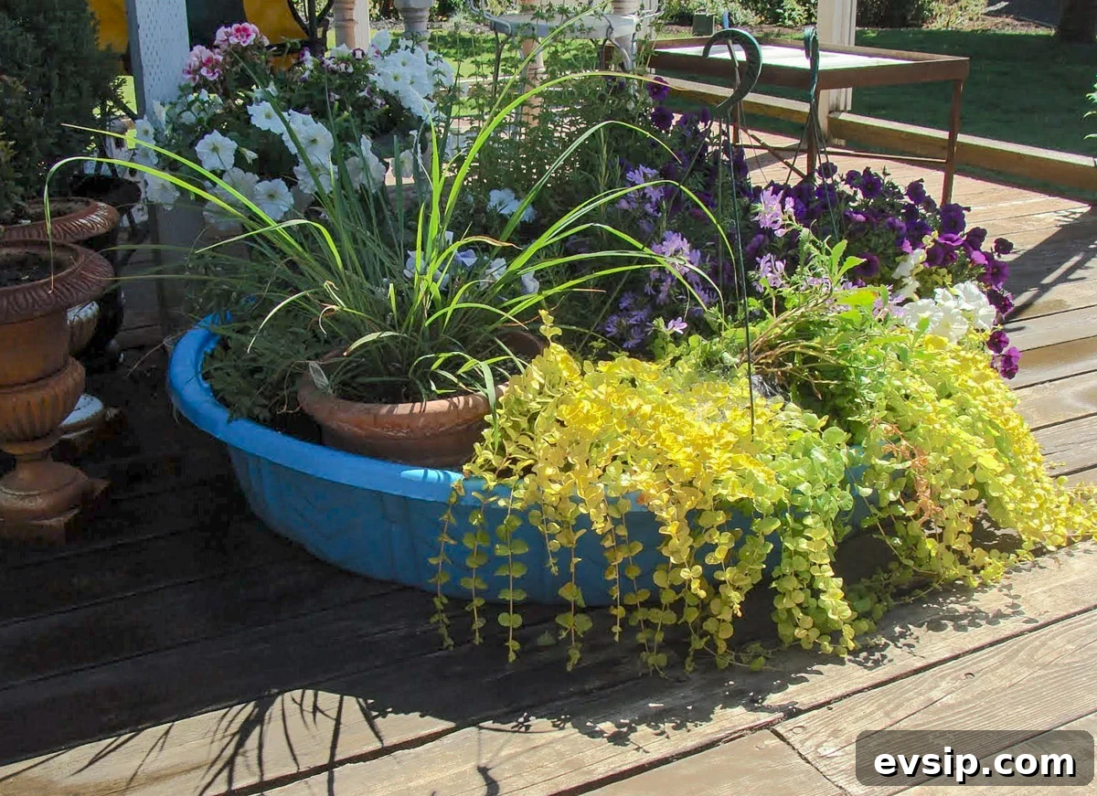 kiddie pool full of plants with trailing plants over the edge