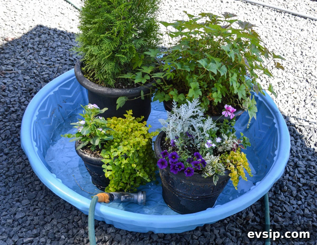 filling kiddie pool with pots and water