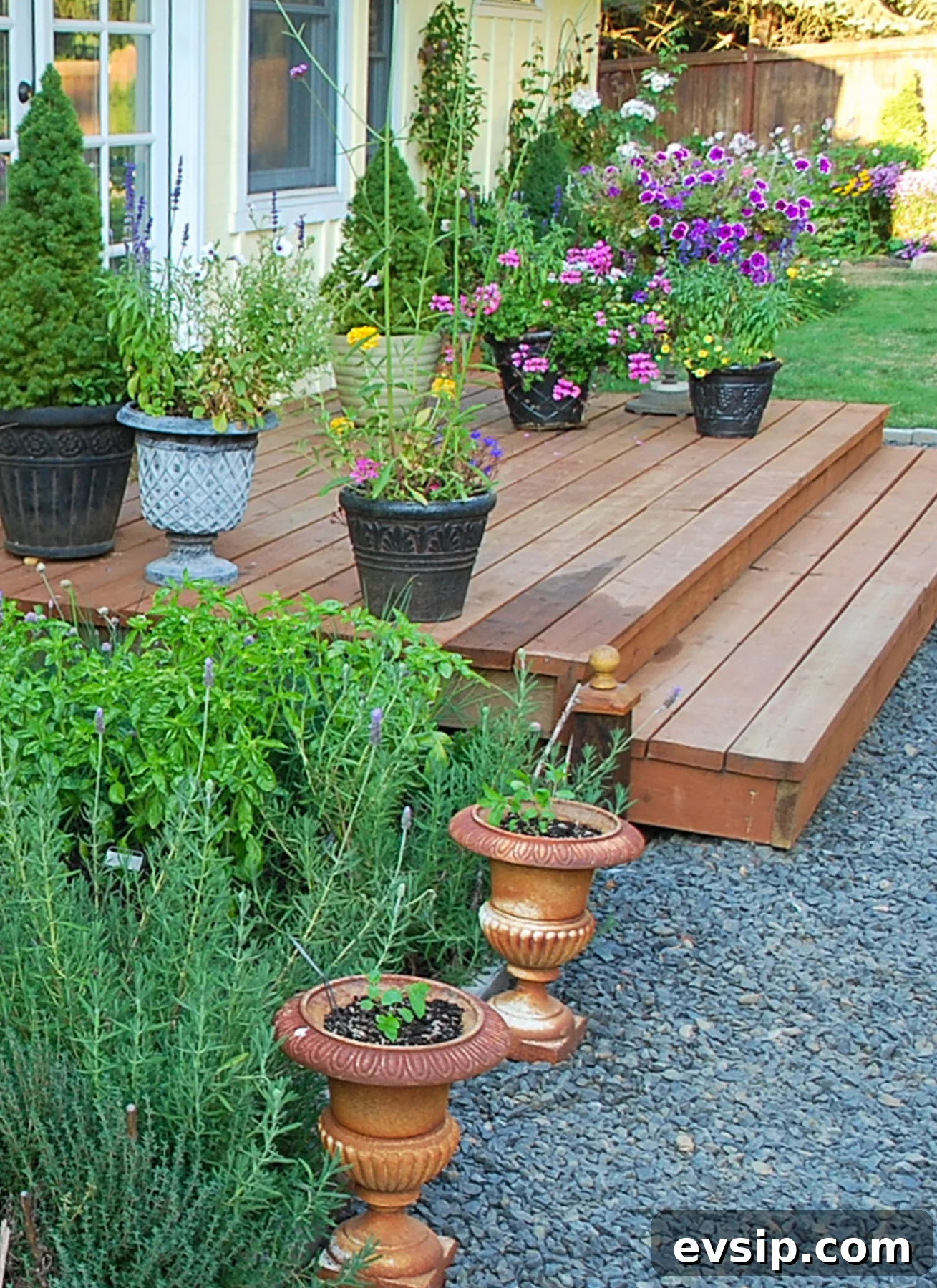 flowering pots on deck