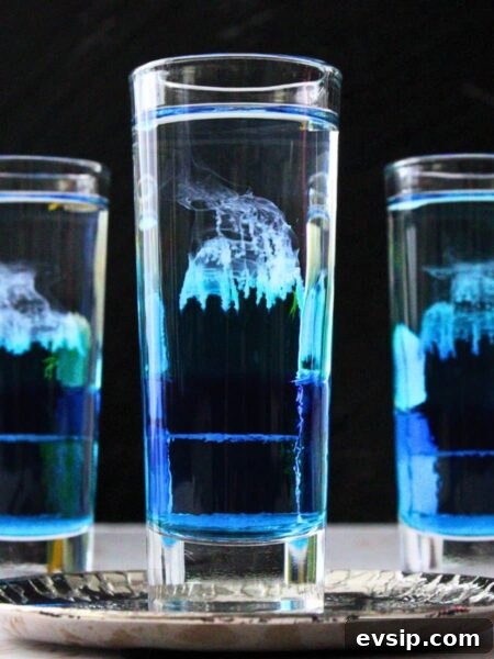 jellyfish shot recipe dinners done quick featured image