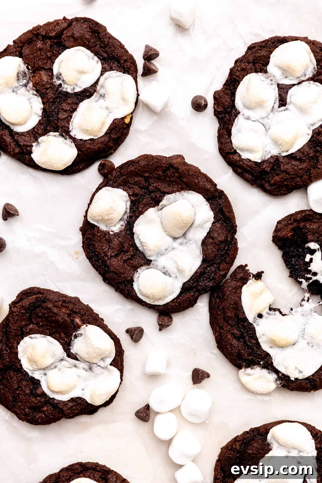 Overhead of mexican hot chocolate cookies topped with toasted marshmallows.