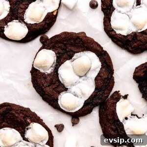 Overhead of mexican hot chocolate cookies topped with toasted marshmallows.