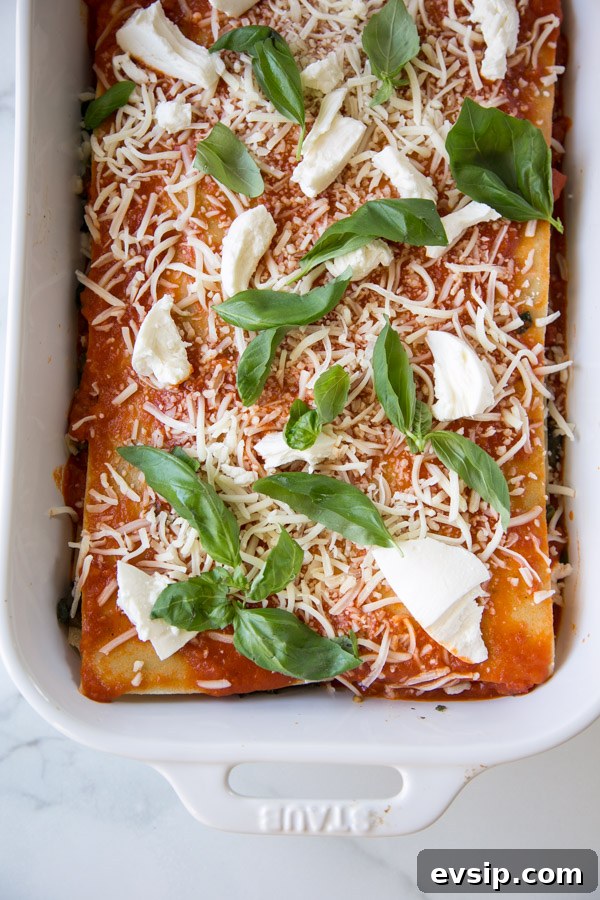 Low FODMAP Vegetarian Eggplant-Kale Lasagna Recipe - Plus more low FODMAP dinner ideas!