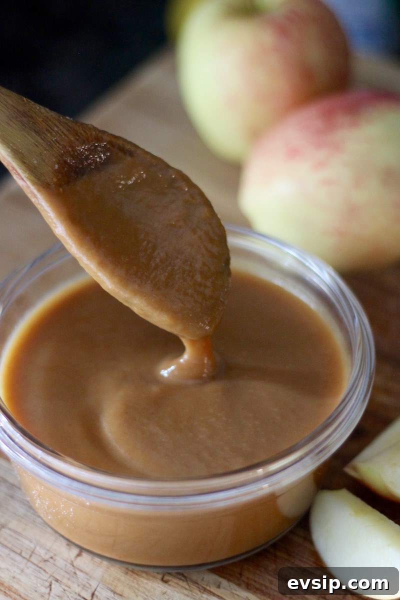 AIP Pumpkin Salted Caramel Sauce Recipe 6 Pumpkin Salted Caramel Sauce - an AIP, Paleo caramel sauce made with coconut milk, pumpkin, honey, cinnamon, and sea salt! Delicious! | fedandfulfilled.com