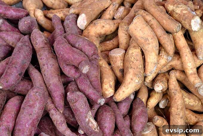 Sweet Potato Guide: Uses, Nutrition, and Cooking Tips 4 Different Sweet Potato Varieties