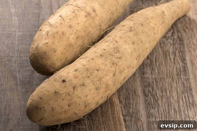 Sweet Potato Guide: Uses, Nutrition, and Cooking Tips 7 Harvested Yams