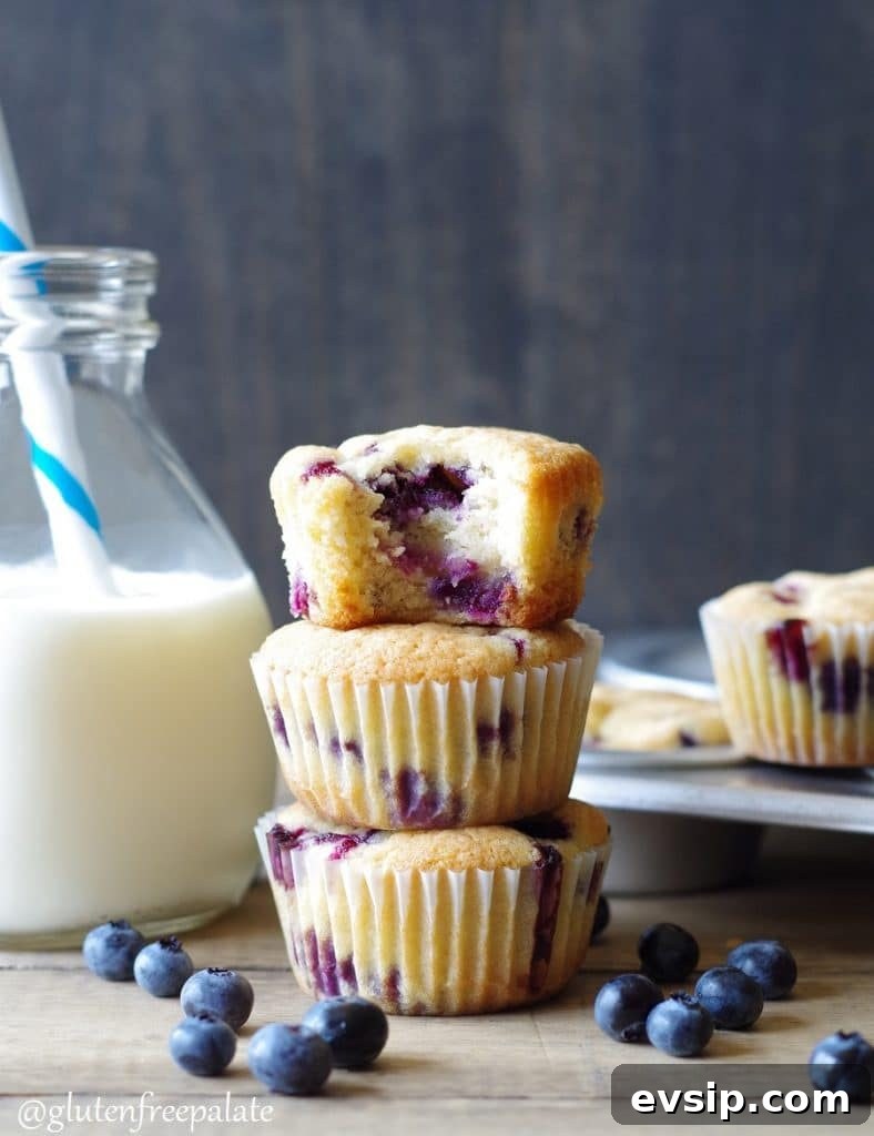 Irresistible Gluten-Free Brunch Recipes You’ll Crave Again 13 Three stacked gluten free blueberry muffins next to a jar of milk. A morning favorite for any family.