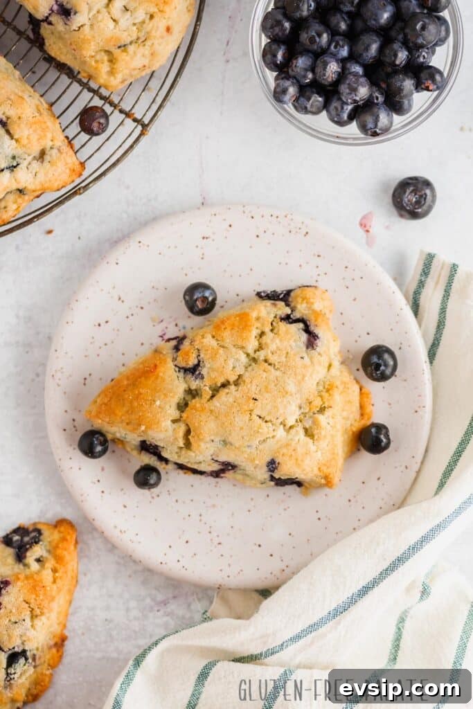 Irresistible Gluten-Free Brunch Recipes You’ll Crave Again 19 a blueberry scone on a white textured plate with blueberries and a towel
