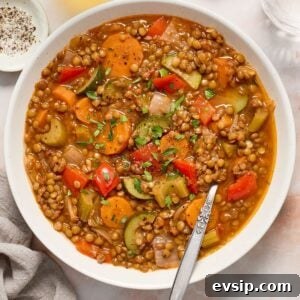 Round white dish of Lentil Stew, with a spoon sitting in the dish.
