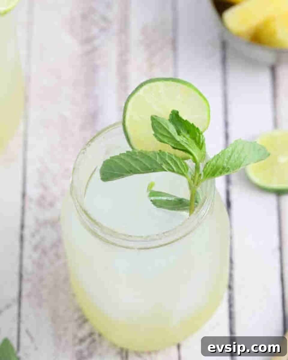 10 Moscow Mule Variations to Try Tonight 18 Refreshing Ginger Beer Mocktail