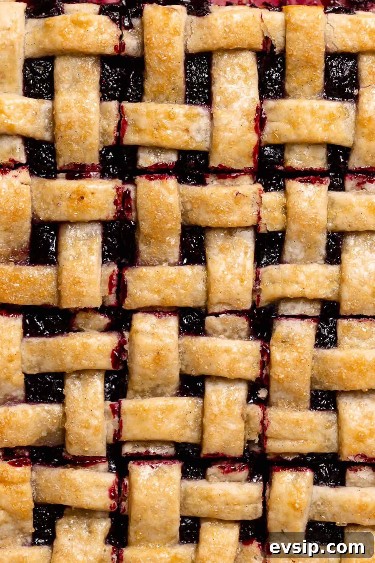A close up shot of the blueberry bars cut into squares.