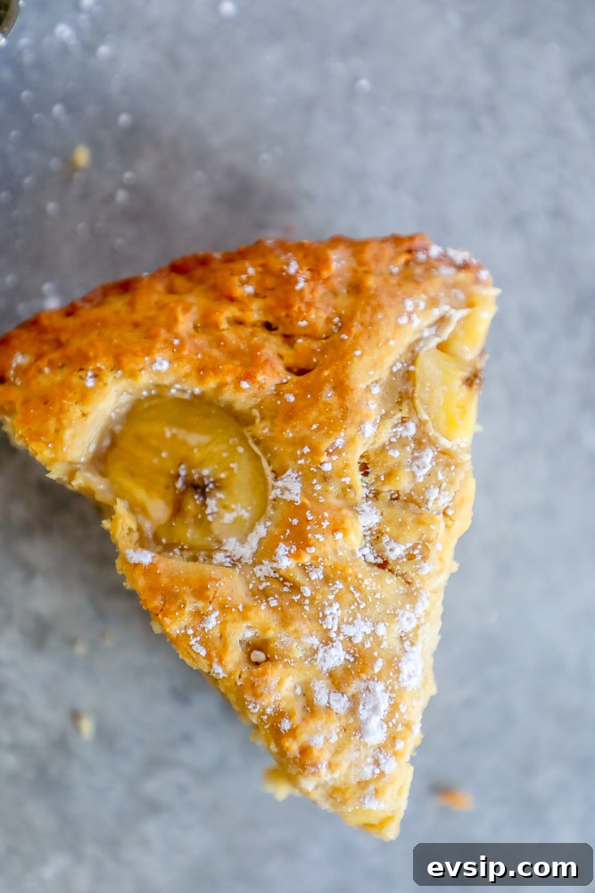 A delicious banana scone sprinkled with powdered sugar.