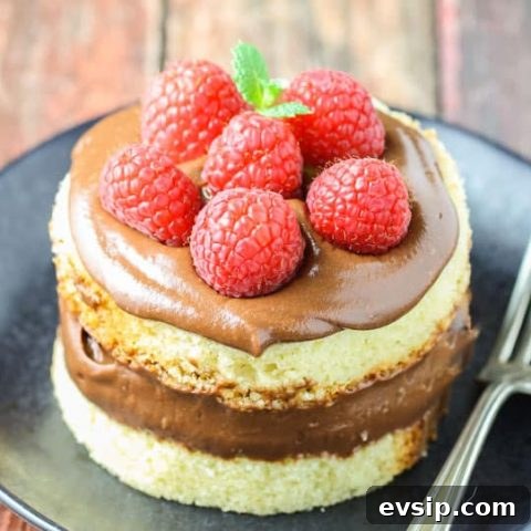 Nutella Mousse Cake Recipe