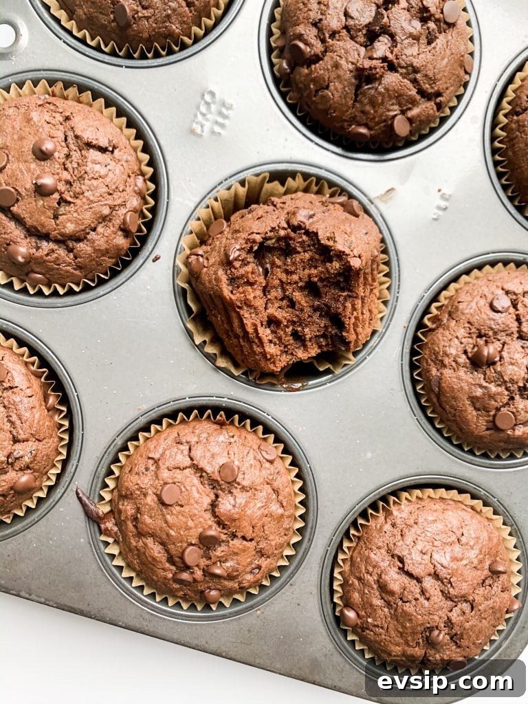 double chocolate zucchini muffins