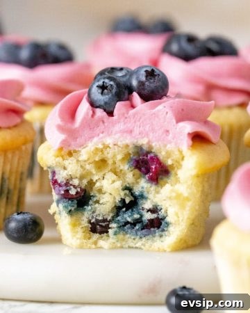 Moist Blueberry Cupcakes