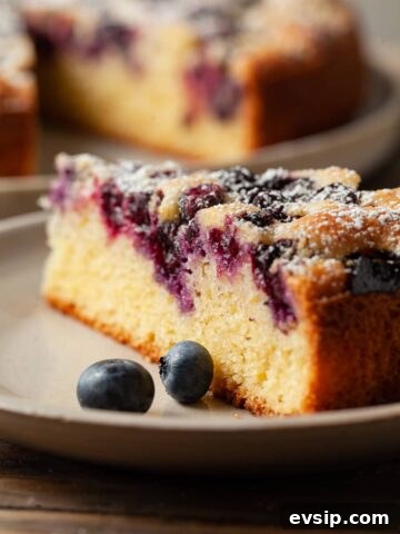 gluten free blueberry cake
