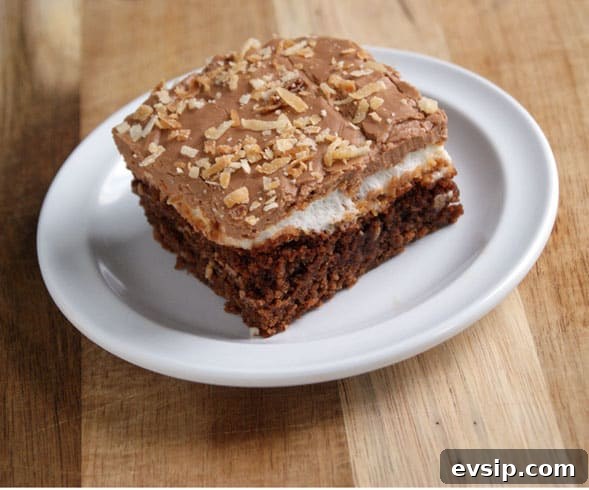 Mississippi Mud Brownies with Coconut Crumble 2 Mississippi Mud Brownies with Coconut on top on a white plate