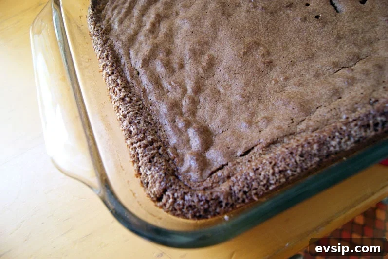 SONY DSC brownies just out of the oven in a glass dish