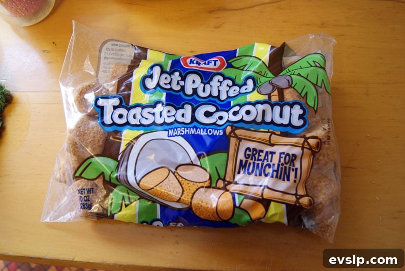 SONY DSC bag of Toasted Coconut marshmallows