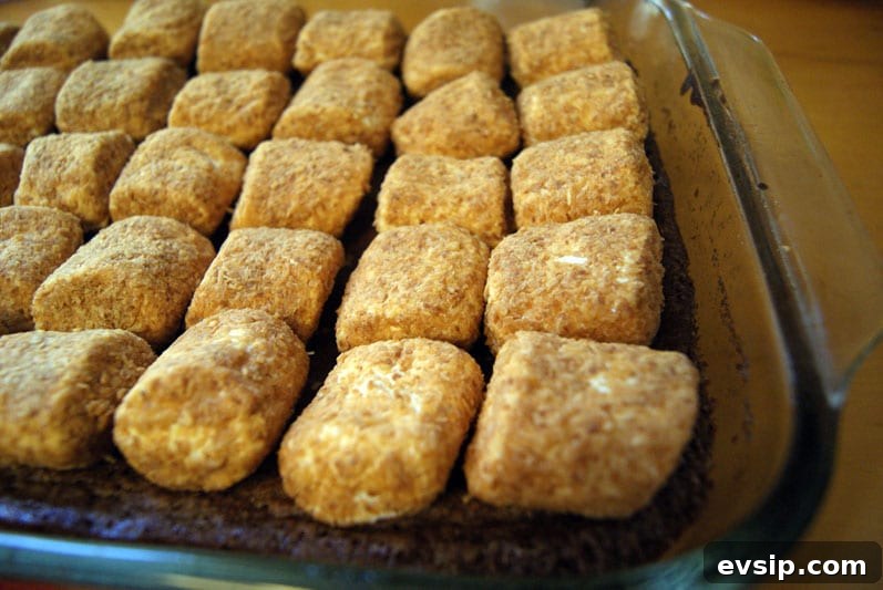 SONY DSC Toasted Coconut Marshmallows lined up on Brownies