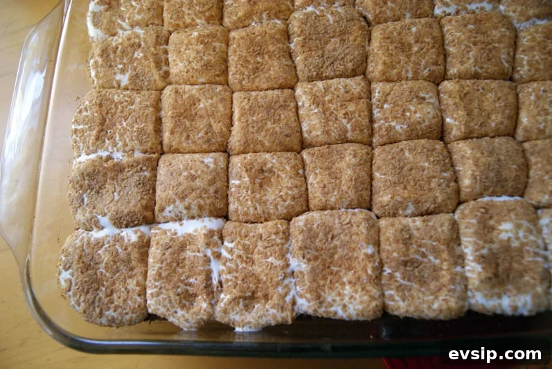 SONY DSC Toasted Coconut marshmallows melted on Mississippi mud brownies