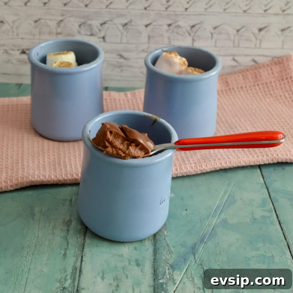pumpkin chocolate pudding
