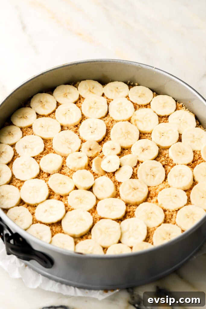 Banana Pudding Cheesecake Recipe with Creamy Layered Filling 12 banana slices on top of crushed vanilla wafers