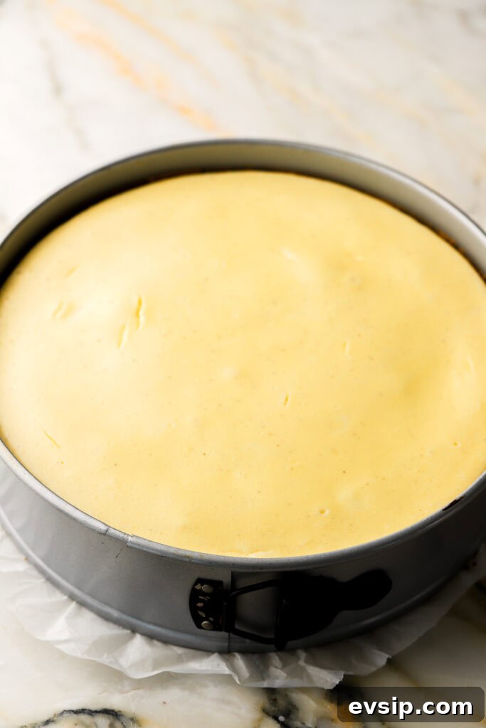 Banana Pudding Cheesecake Recipe with Creamy Layered Filling 14 banana pudding cheesecake finished baking