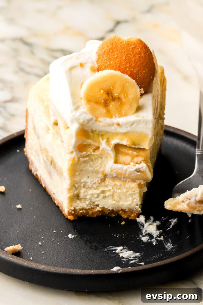 Banana Pudding Cheesecake Recipe with Creamy Layered Filling 3 slice of banana pudding cheesecake on a plate with a bite taken out