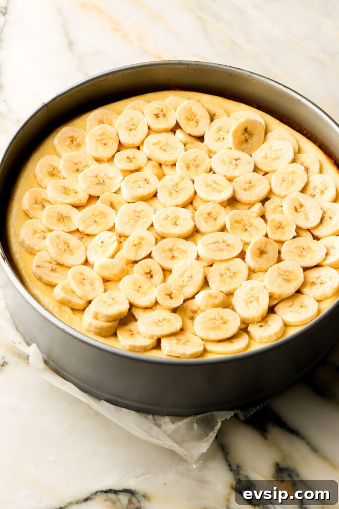 Banana Pudding Cheesecake Recipe with Creamy Layered Filling 22 fresh banana slices on top of baked cheesecake