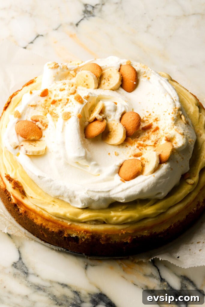 Banana Pudding Cheesecake Recipe with Creamy Layered Filling 24 finished banana pudding cheesecake