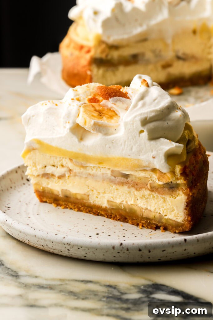 Banana Pudding Cheesecake Recipe with Creamy Layered Filling 25 slice of banana pudding cheesecake showing all the layers