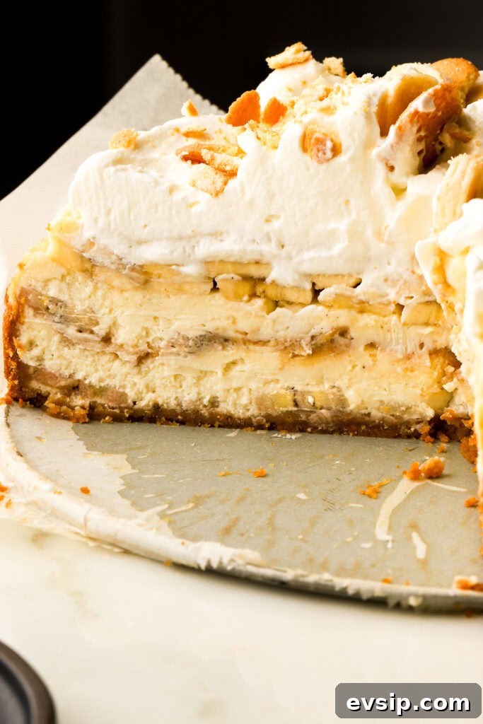 Banana Pudding Cheesecake Recipe with Creamy Layered Filling 26 inside of banana pudding cheesecake showing all the layers