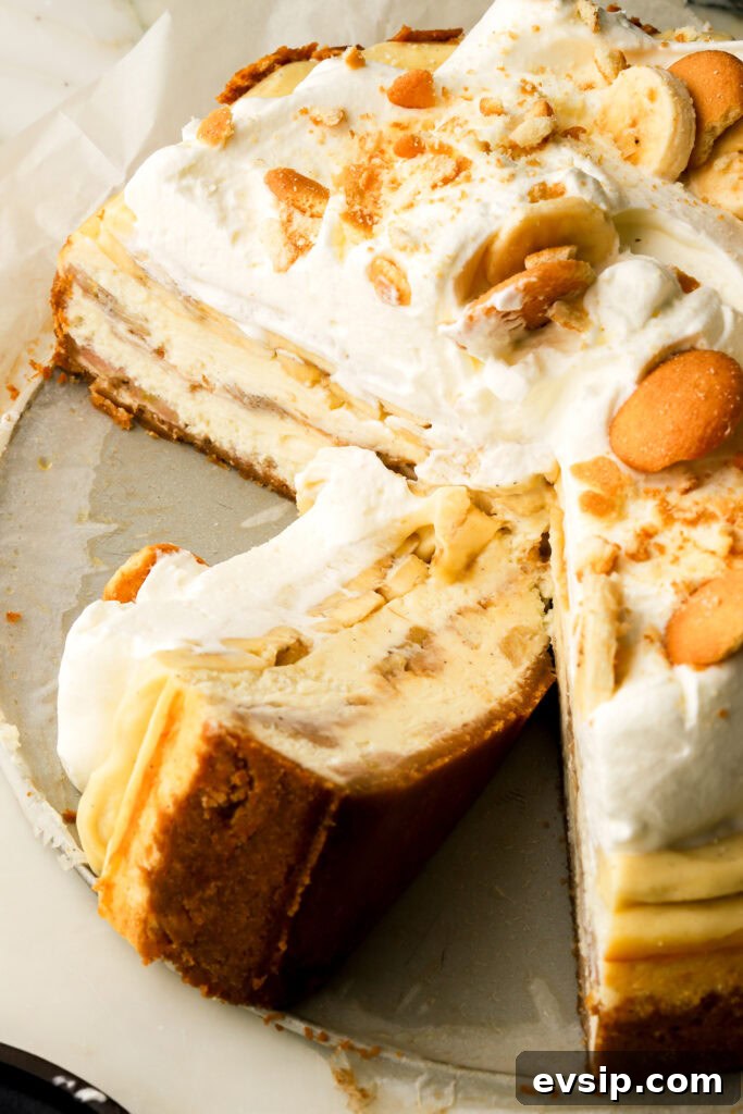 Banana Pudding Cheesecake Recipe with Creamy Layered Filling 4 slice of banana pudding cheesecake laid down next to the whole cheesecake