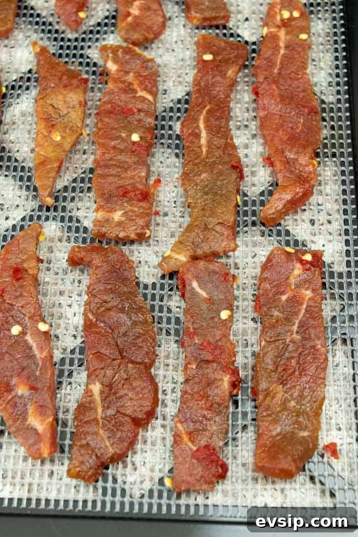 Jerky on dehydrator tray