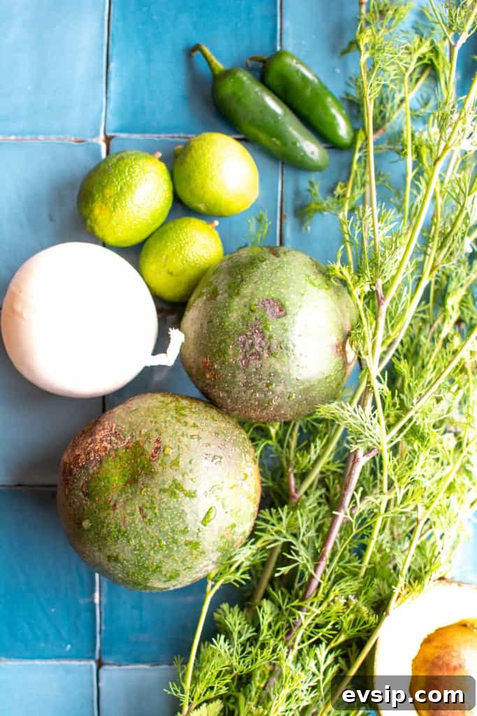 All the ingredients to make guacamole including jalapeños, cilantro, onion, avocados, limes. 